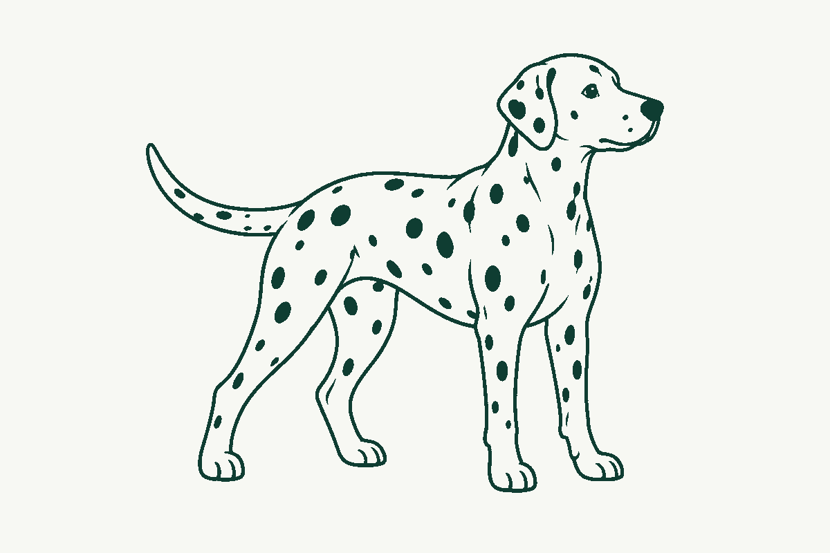 Line drawing of a spotted Dalmatian-type dog standing alert