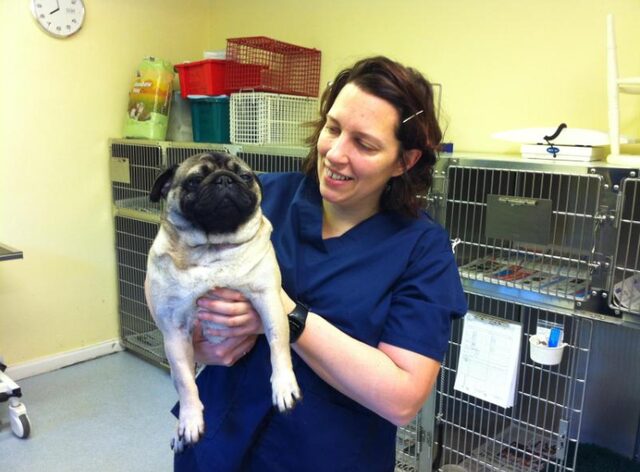 Claudia at work with a patient